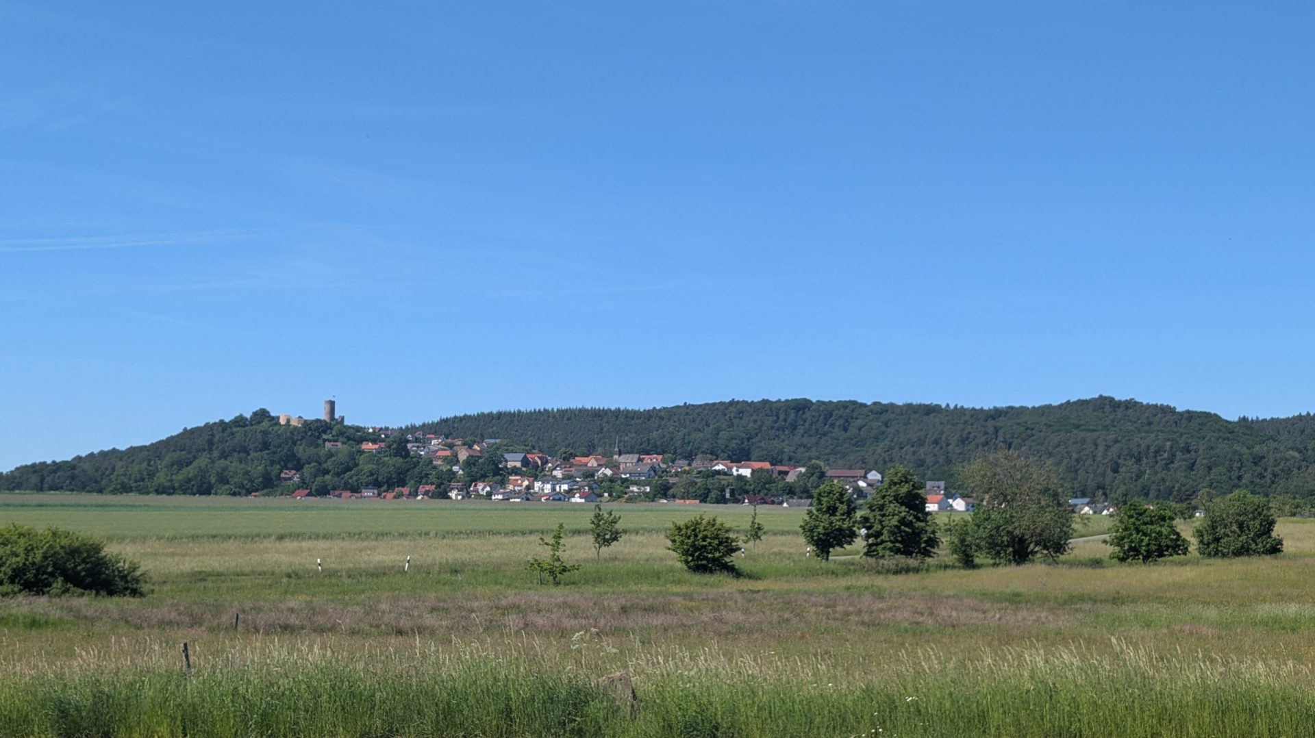MELLNAUER KUCKUCK